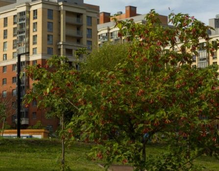 De ce locuințele au devenit tot mai greu de cumpărat De ce locuințele au devenit tot mai greu de cumpărat