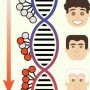 Noile generații par să îmbătrânească biologic mai repede