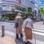 Japonia, oglinda viitorului?