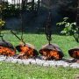 Cultura Țestului în Oltenia