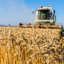 România exportă materii prime și importă alimente procesate